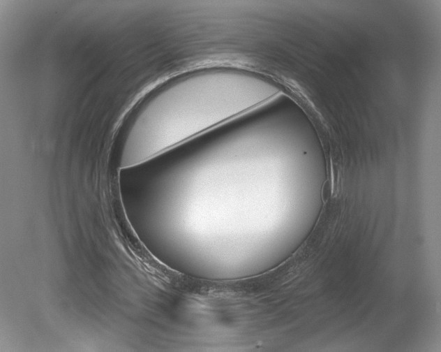 X0000080100531200612080932