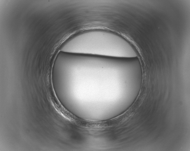 X0000080100533200612080932