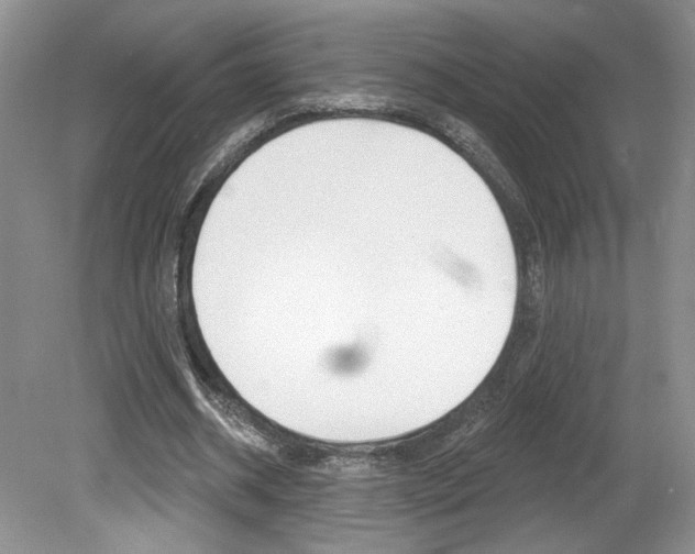 X0000080100534200612080932