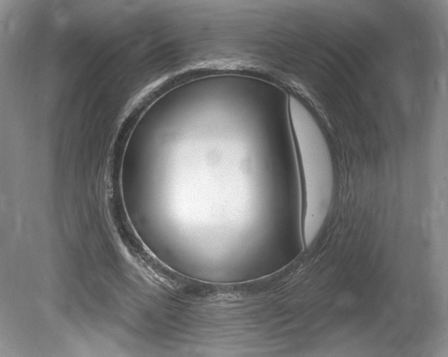 X0000080100536200612080932