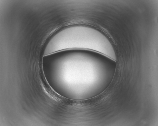 X0000080100538200612080932