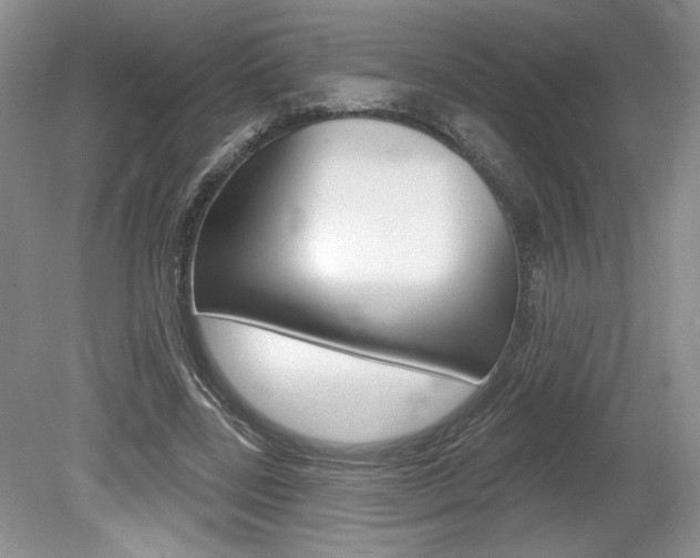 X0000080100539200612080932