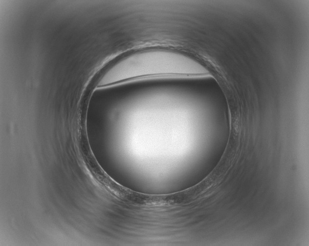 X0000080100540200612080932