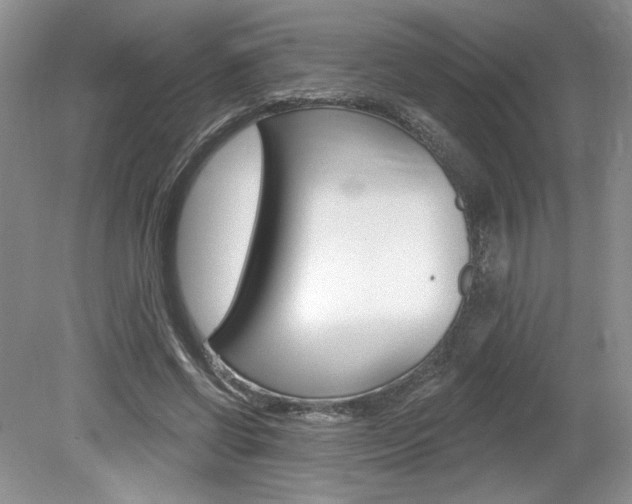 X0000080100542200612080932
