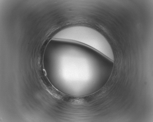 X0000080100548200612080932