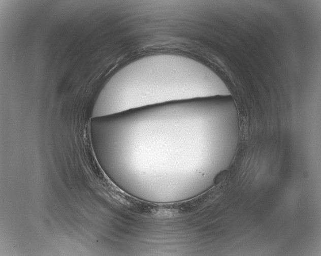 X0000080100549200612080932