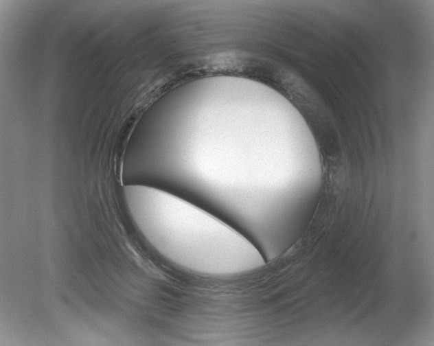 X0000080100550200612080932