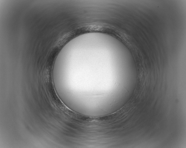 X0000080100551200612080932