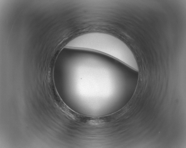 X0000080100556200612080932