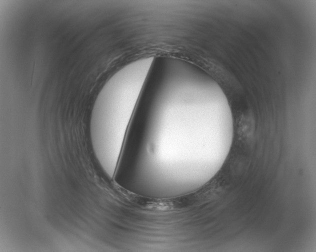 X0000080100559200612080932