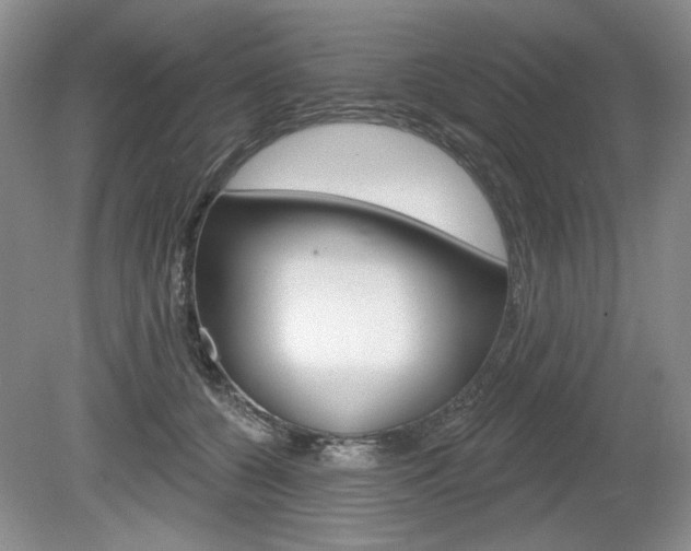 X0000080100560200612080932