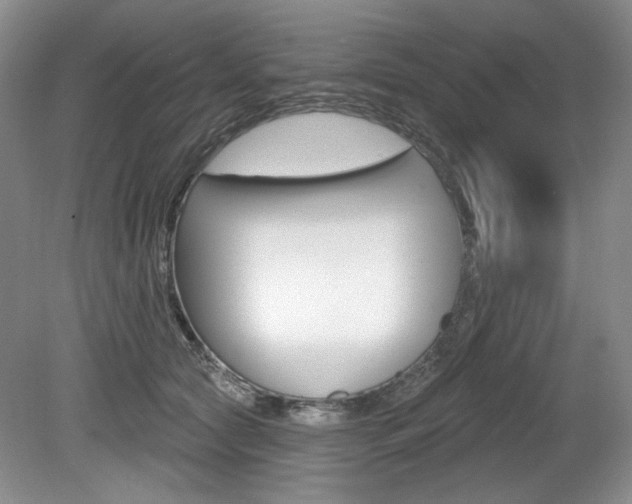 X0000080100561200612080932