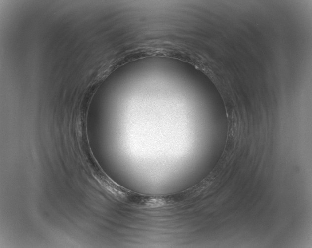 X0000080100562200612080932