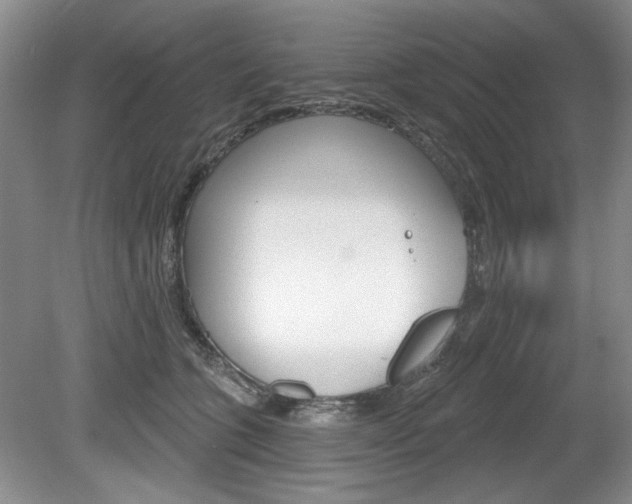 X0000080100563200612080932