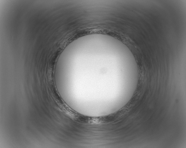 X0000080100565200612080932