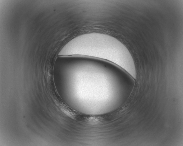 X0000080100566200612080932