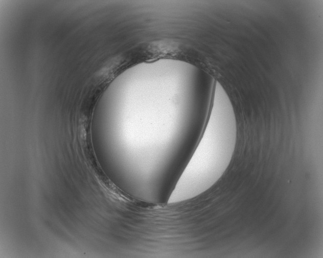 X0000080100570200612080932