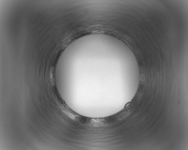 X0000080100573200612080932
