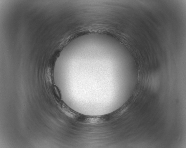 X0000080100575200612080932