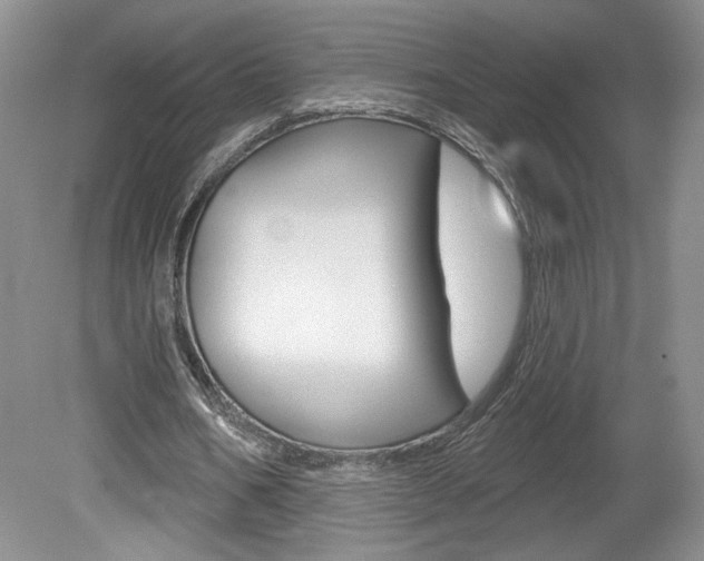 X0000080100578200612080932
