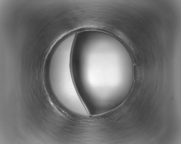 X0000080100580200612080932