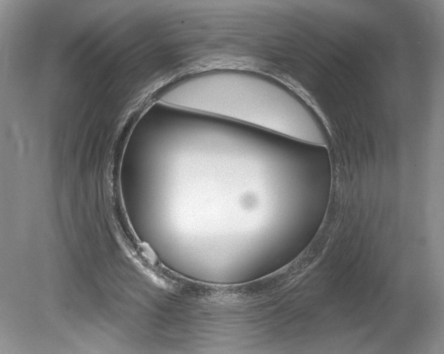 X0000080100581200612080932