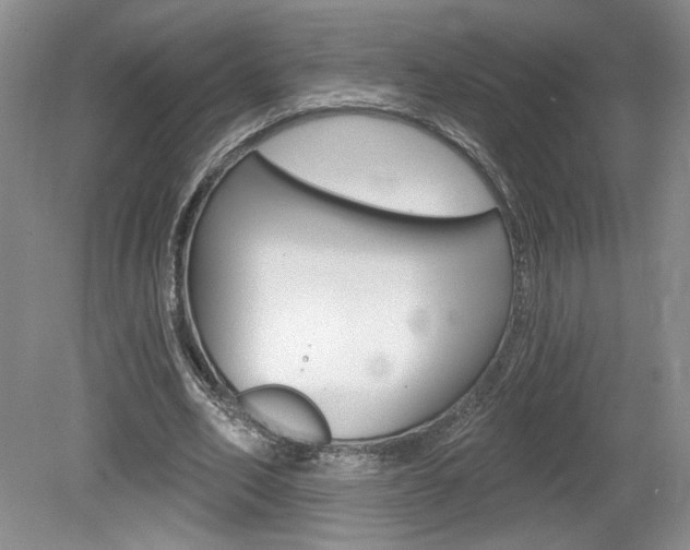 X0000080100582200612080931