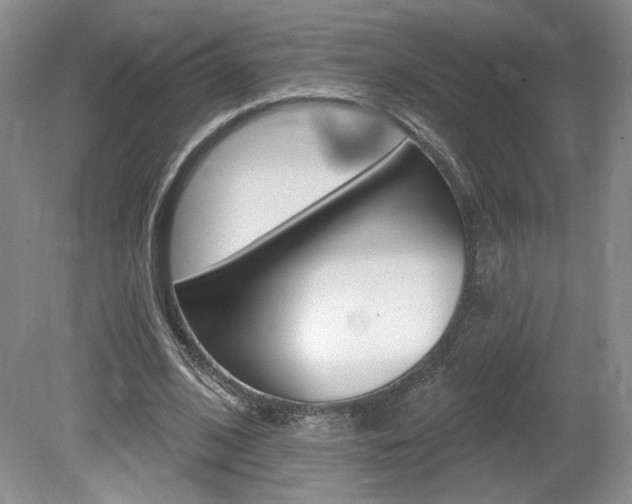 X0000080100584200612080931