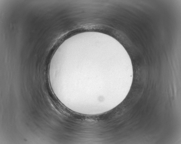X0000080100592200612080931