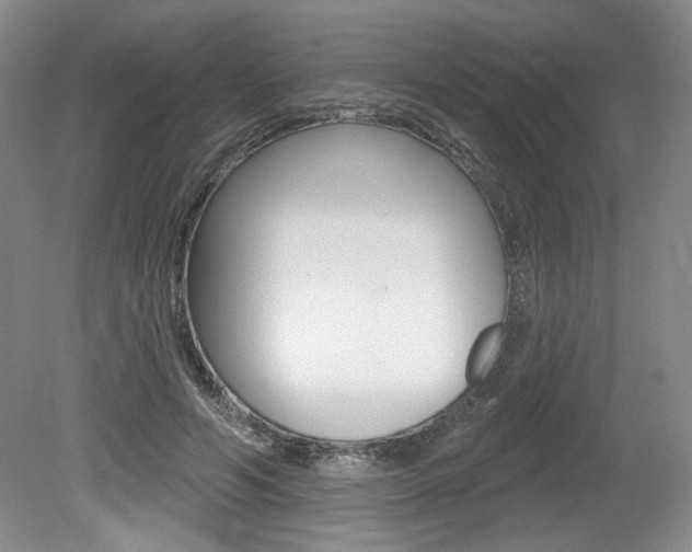 X0000080100594200612080931