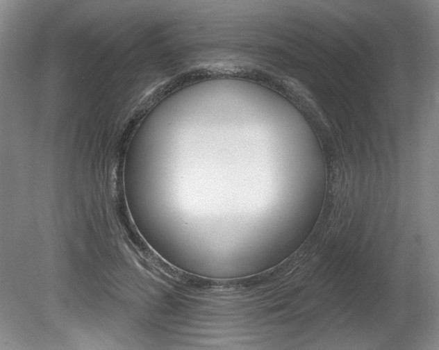 X0000080100596200612080931