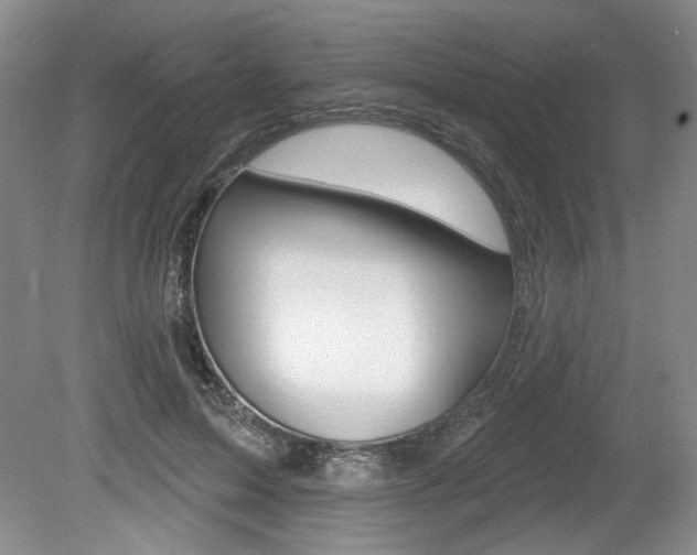 X0000080100599200612080931
