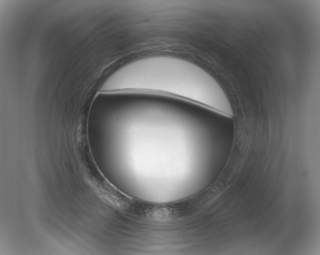X0000080100600200612080931