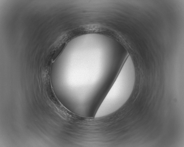 X0000080100601200612080931