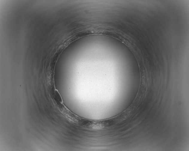 X0000080100604200612080931