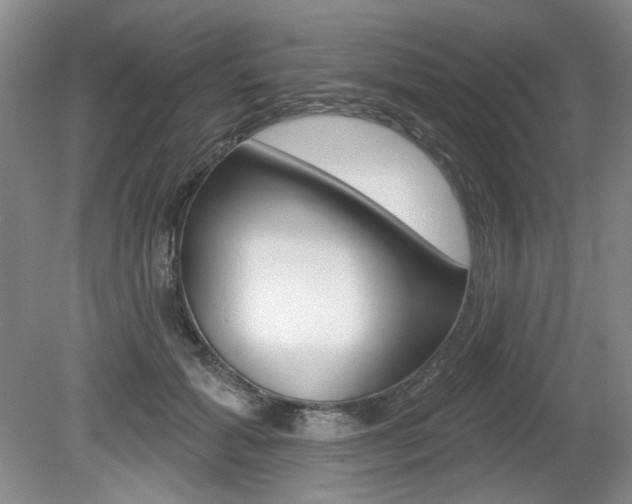 X0000080100605200612080931