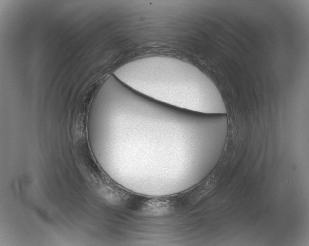 X0000080100606200612080931