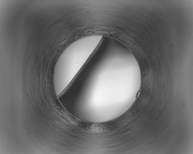 X0000080100608200612080931