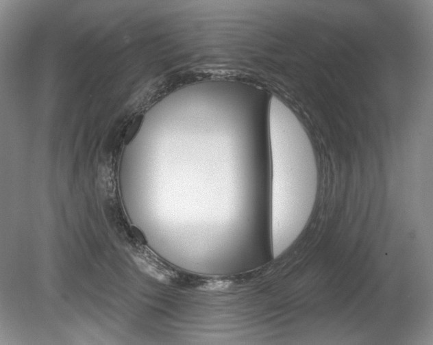 X0000080100609200612080931