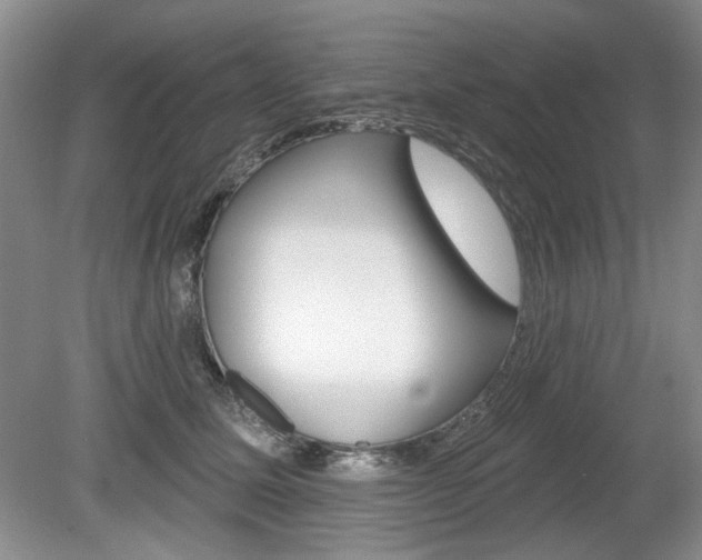 X0000080100611200612080931