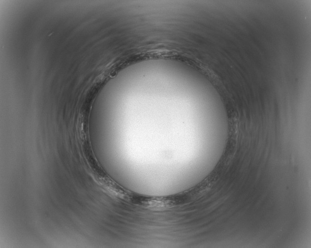 X0000080100615200612080931