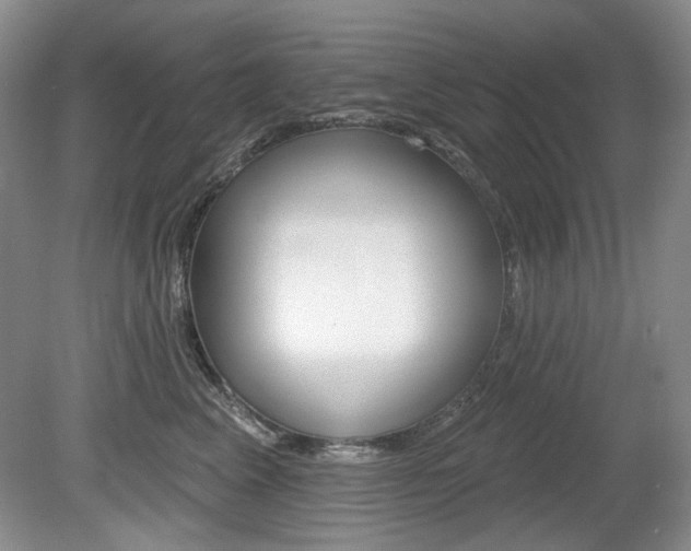 X0000080100617200612080931