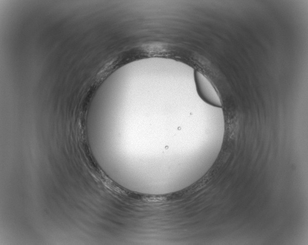 X0000080100618200612080931