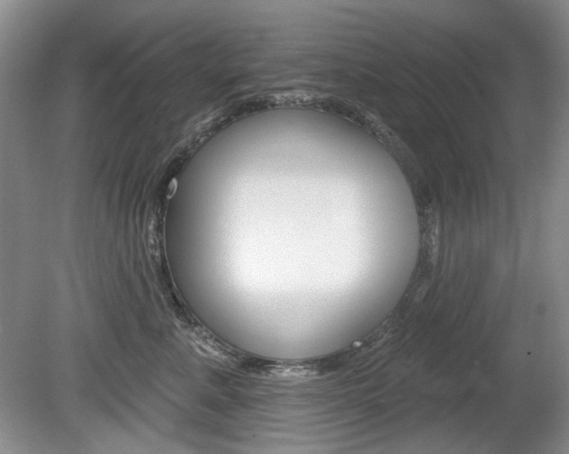 X0000080100619200612080931