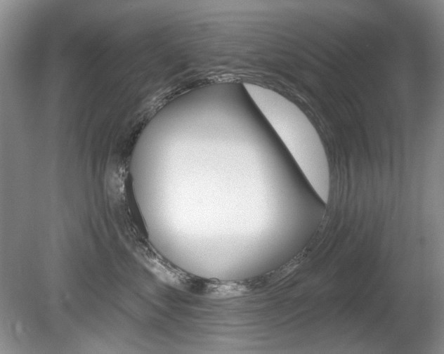 X0000080100621200612080931