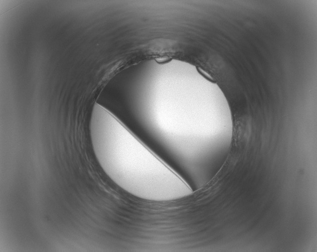X0000080100623200612080931
