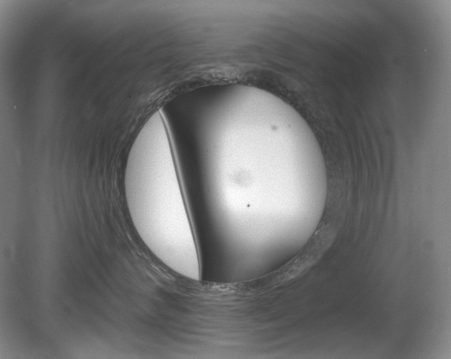 X0000080100624200612080931