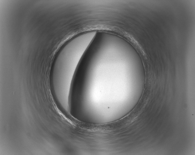 X0000080100625200612080930