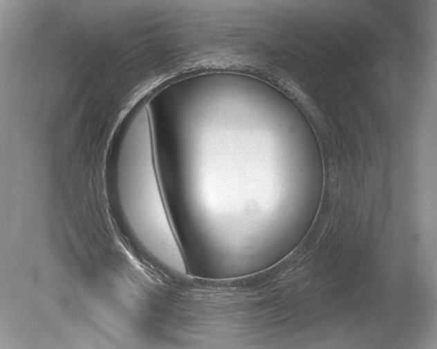 X0000080100626200612080930
