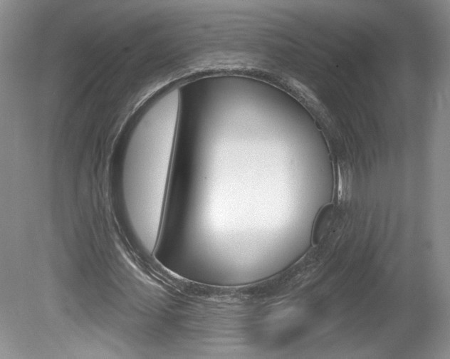 X0000080100627200612080930